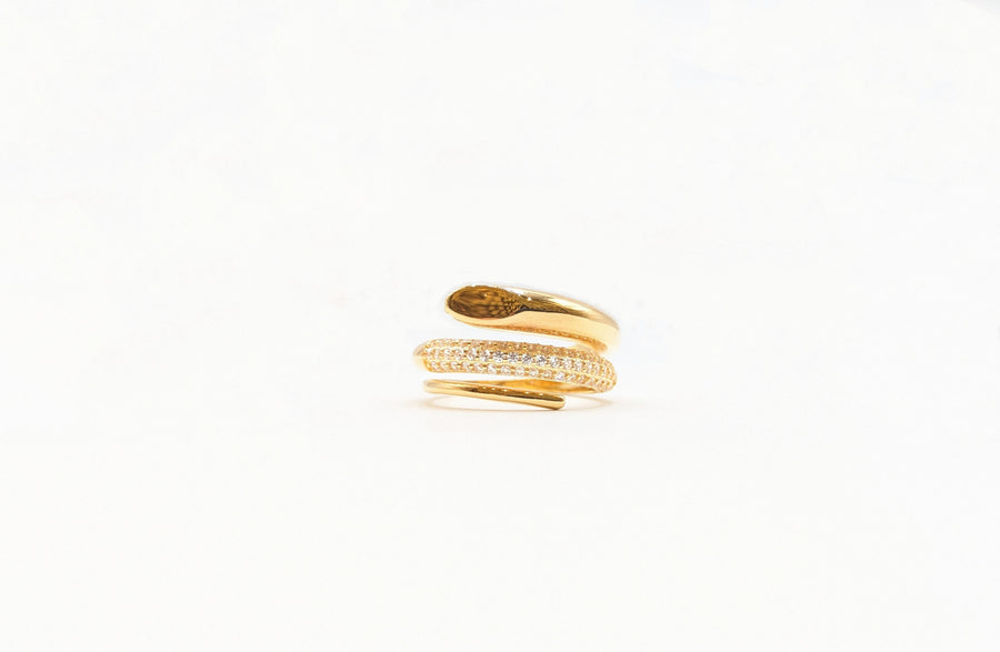 Earrings - Creole
