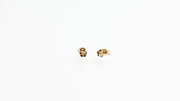Boucle d'oreilles - Puce