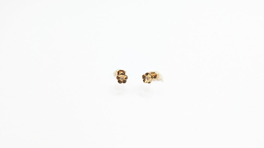 Boucle d'oreilles - Puce