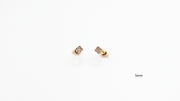 Boucle d'oreille - Puces
