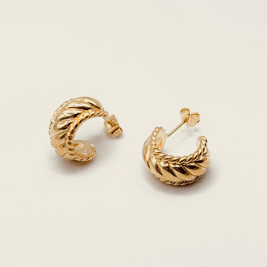Boucles d'oreille - Puce