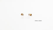 Boucle d'oreille - Puces