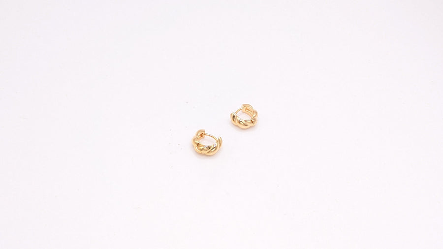 Boucles d'oreilles