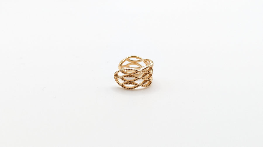 Bague d'oreille