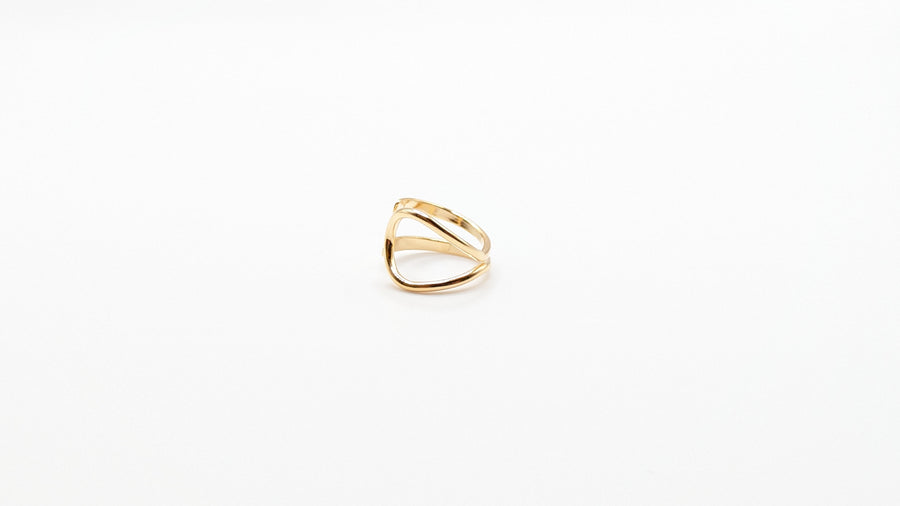 Bague d'oreille