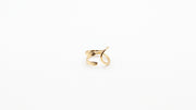 Bague d'oreille