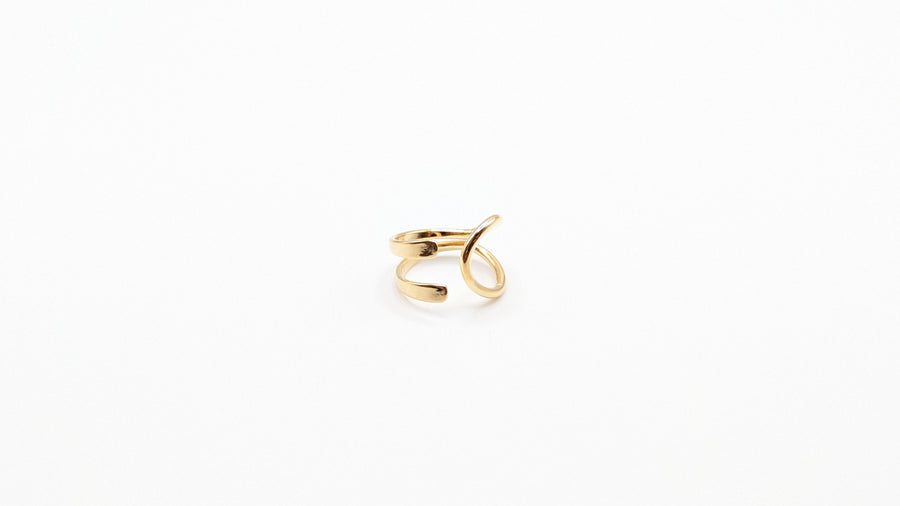 Bague d'oreille