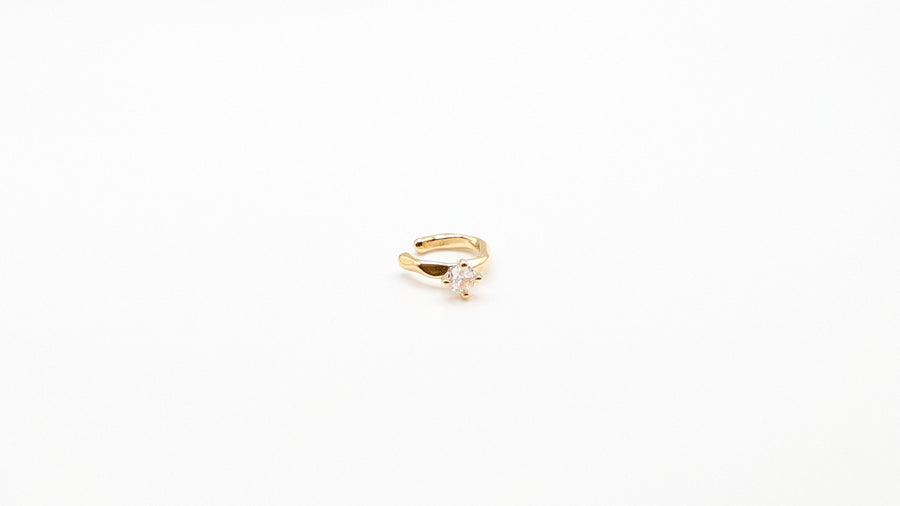 Bague d'oreille