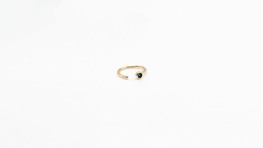 Bague d'oreille