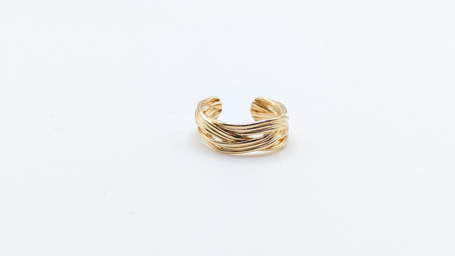 Bague d'oreille
