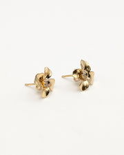 Boucles d'oreilles 2 en 1