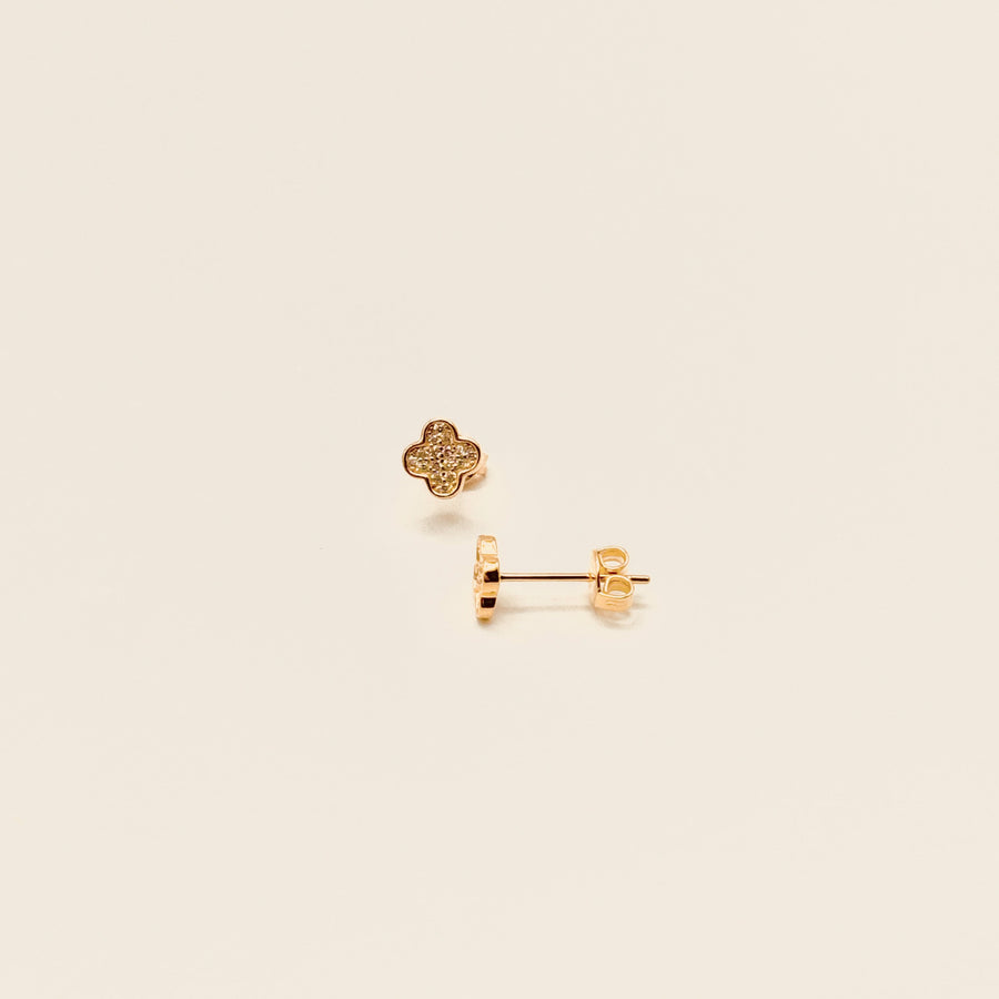Boucle d'oreille - Puces