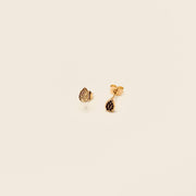 Boucle d'oreille - Puces