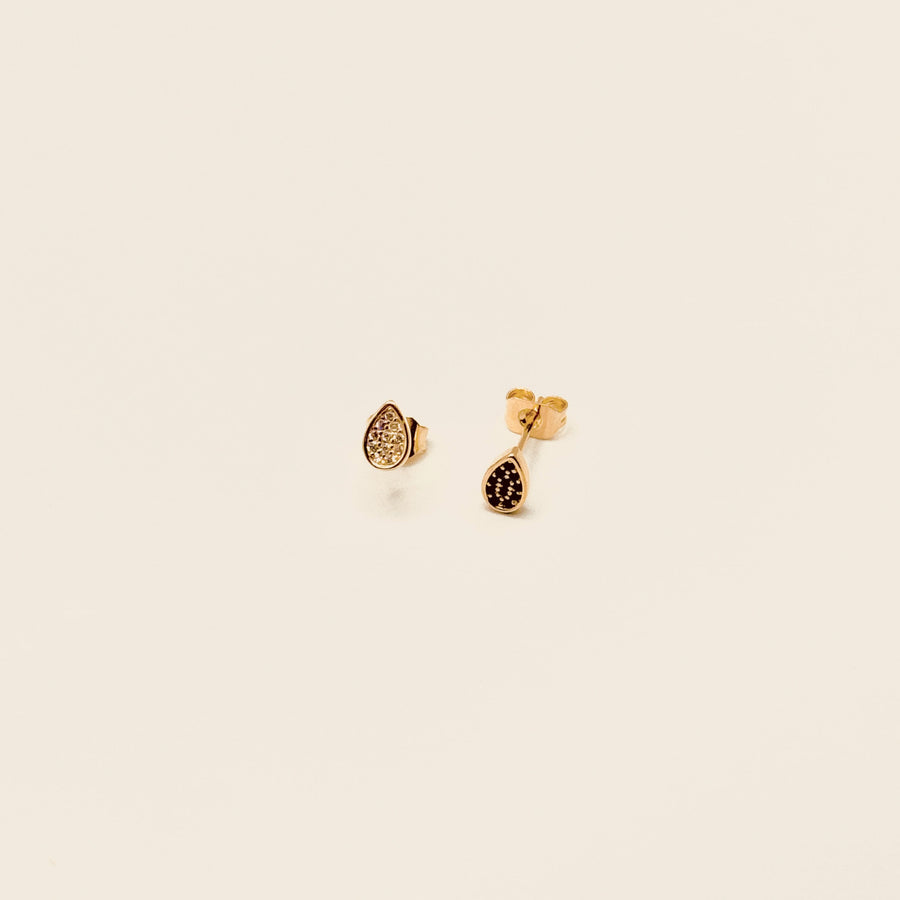 Boucle d'oreille - Puces