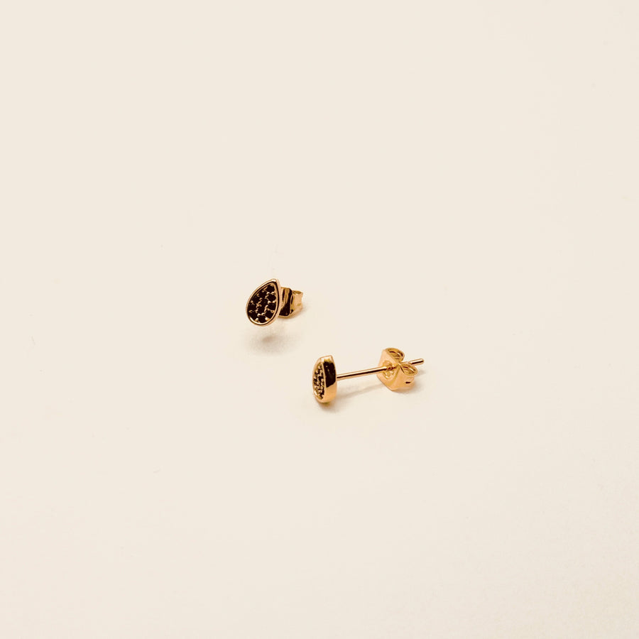 Boucle d'oreille - Puces