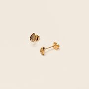 Boucle d'oreille - Puces