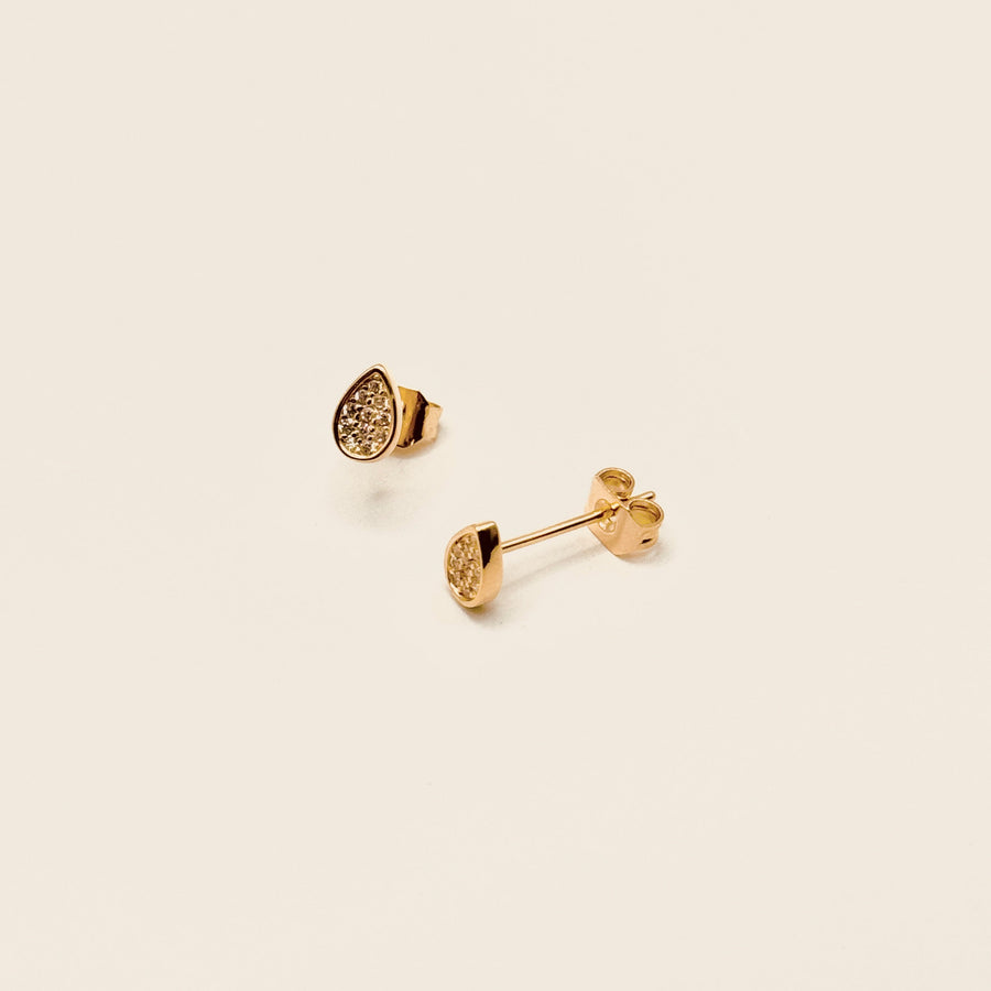 Boucle d'oreille - Puces