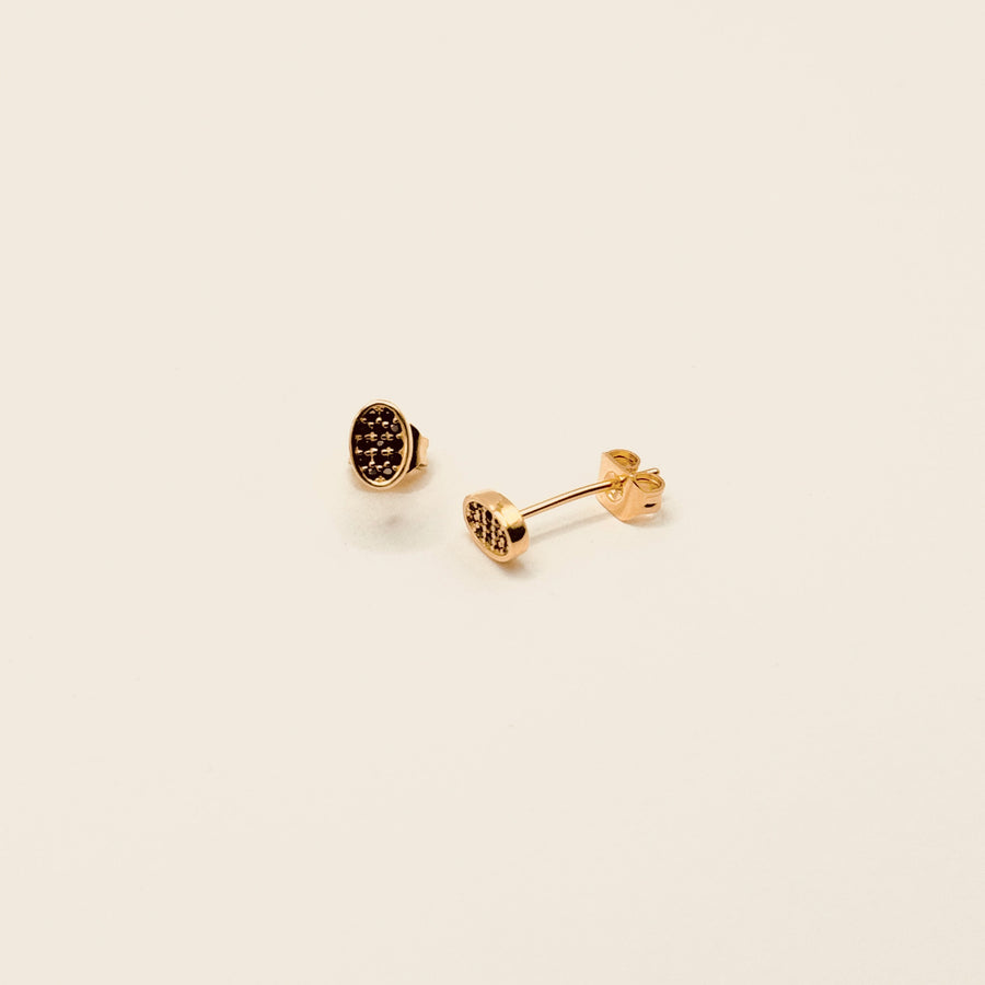 Boucle d'oreille - Puces