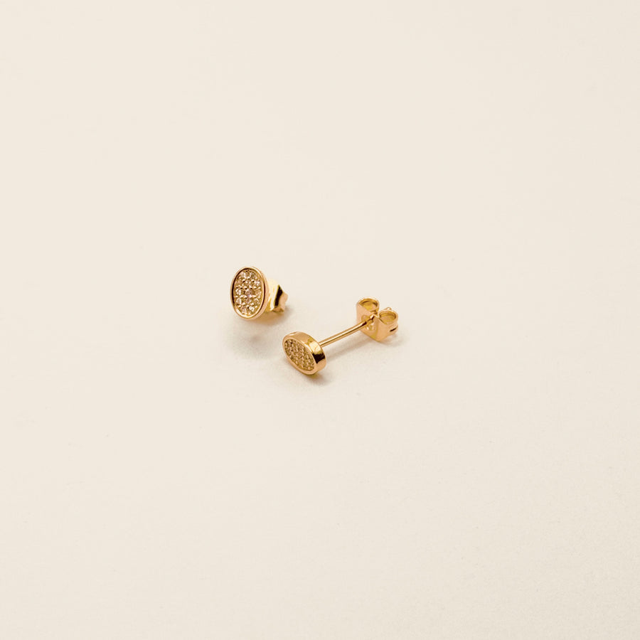 Boucle d'oreille - Puces