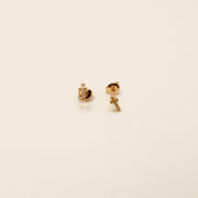 Boucle d'oreille - Puces