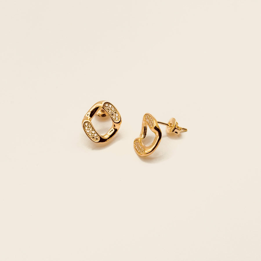 Boucle d'oreille - Puces