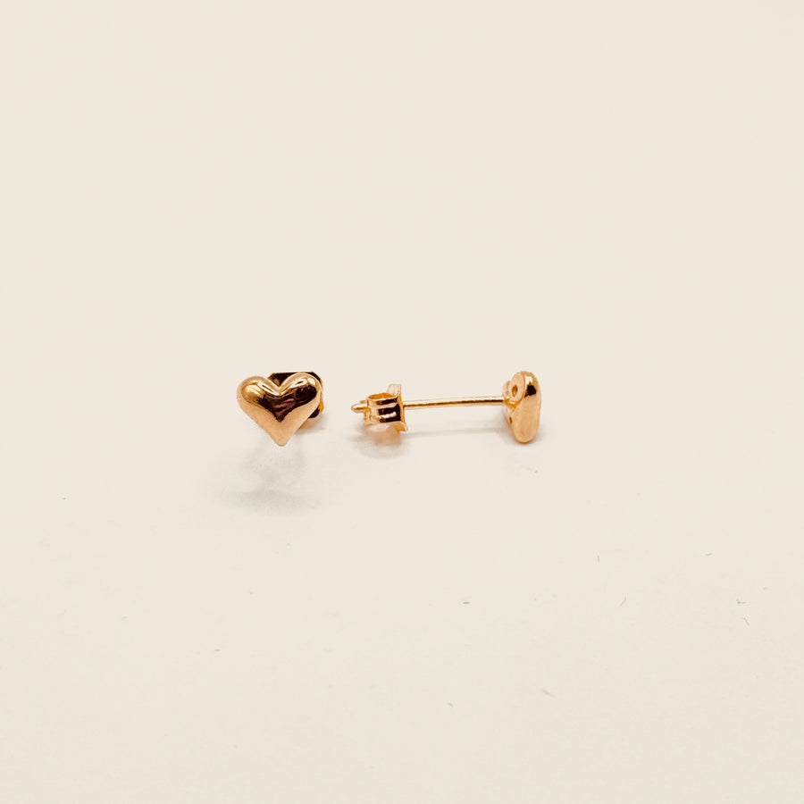 Boucle d'oreilles - Puce