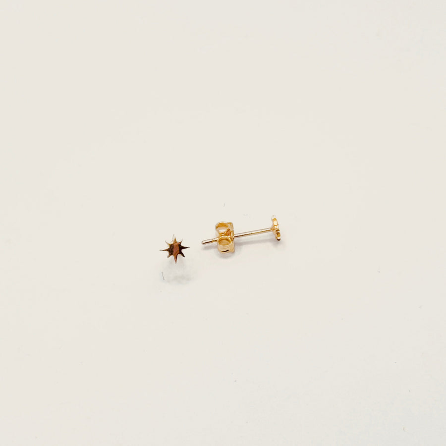 Boucle d'oreilles - Puce