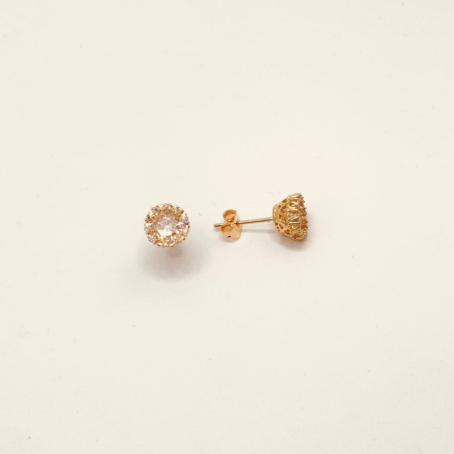 Boucle d'oreilles - Puce