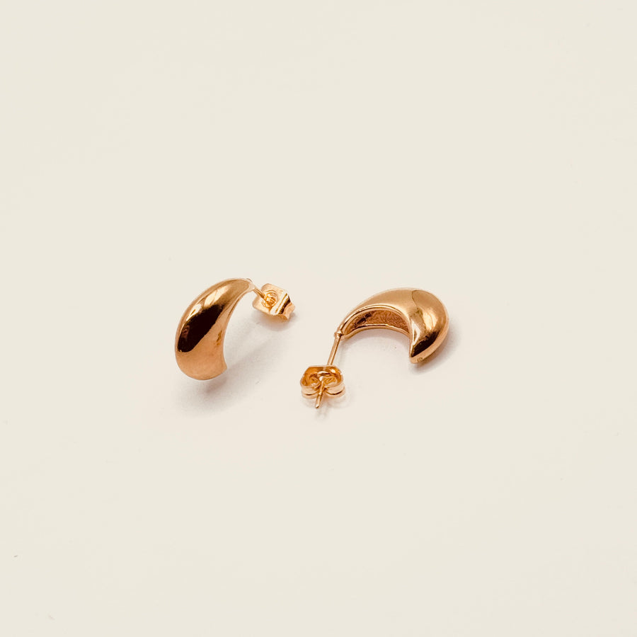Boucle d'oreilles - Puce