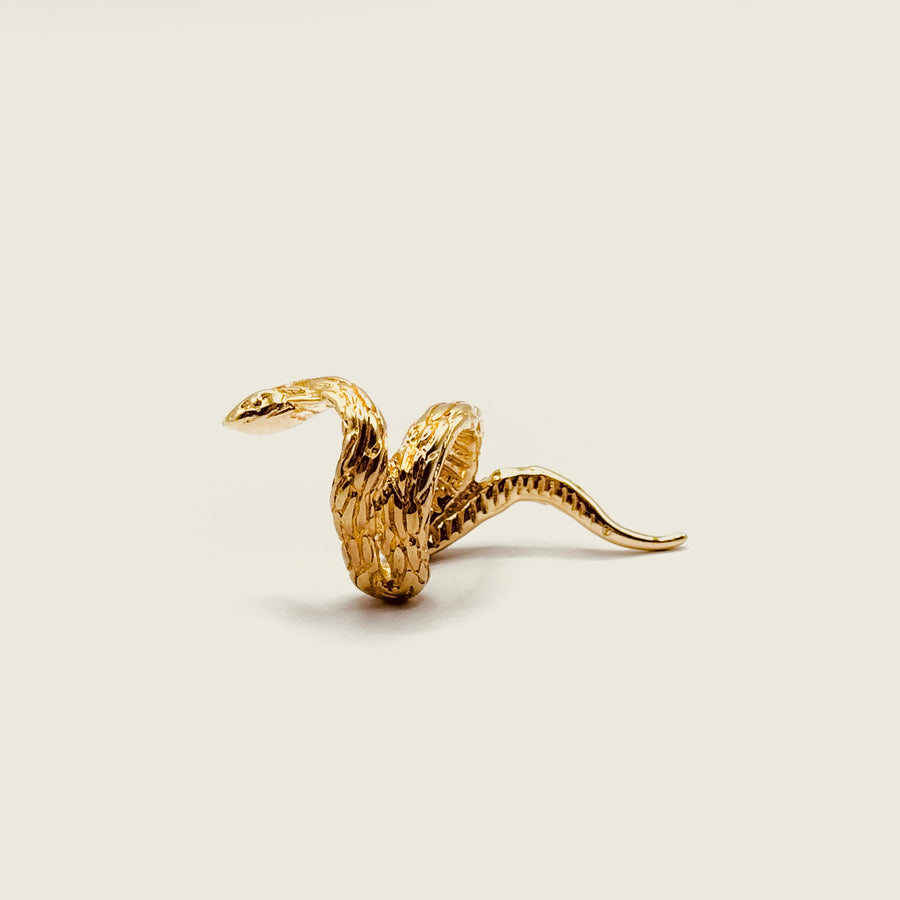 Ear ring