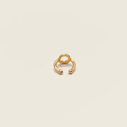 Bague d'oreille