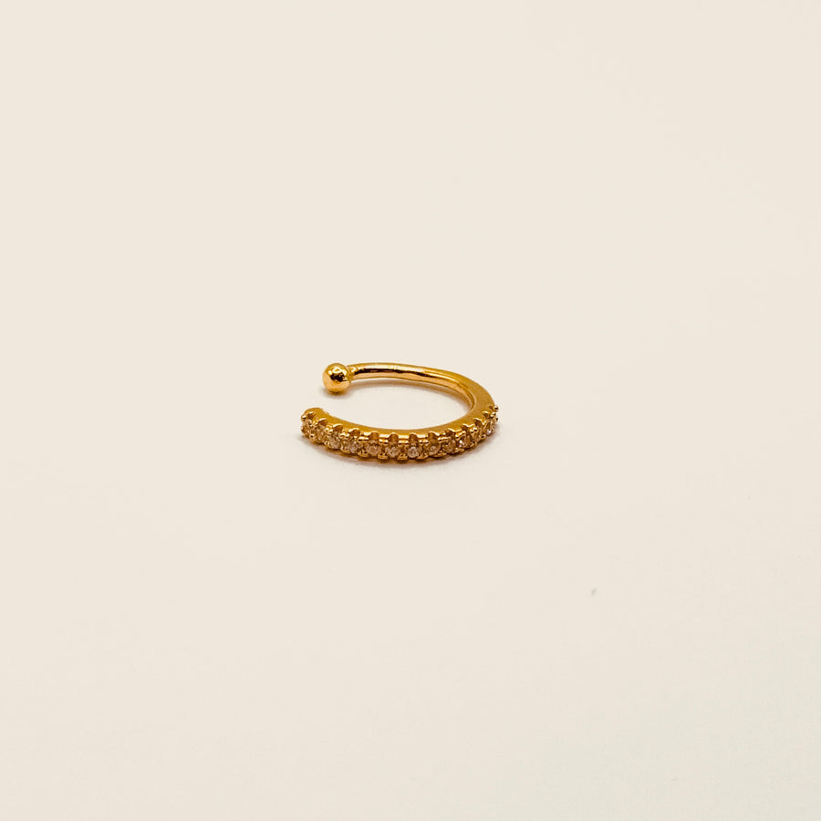 Bague d'oreille