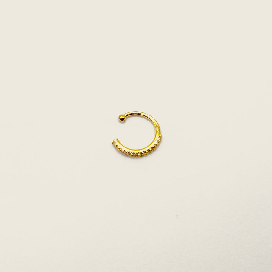 Bague d'oreille
