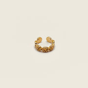Bague d'oreille