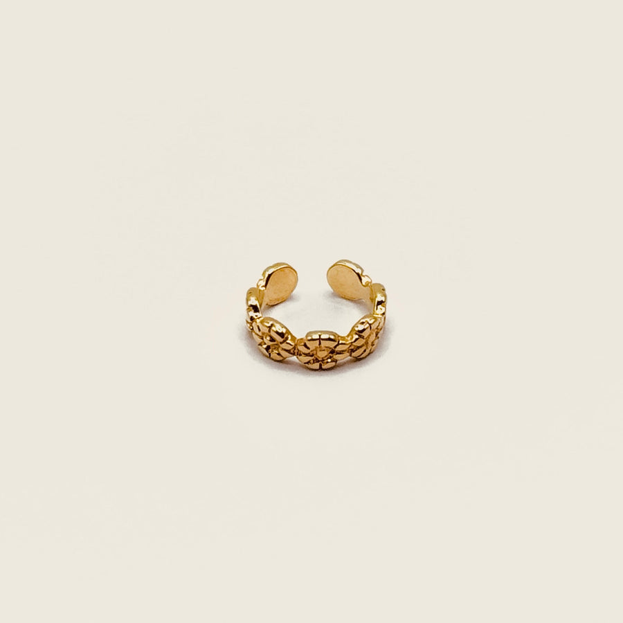 Bague d'oreille