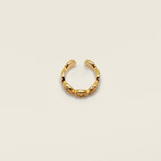 Bague d'oreille