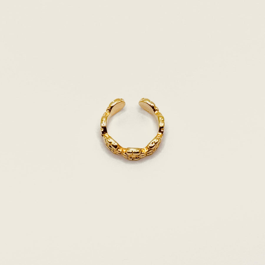 Bague d'oreille
