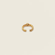 Bague d'oreille