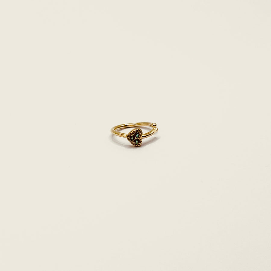 Bague d'oreille