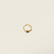Bague d'oreille