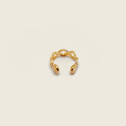 Bague d'oreille