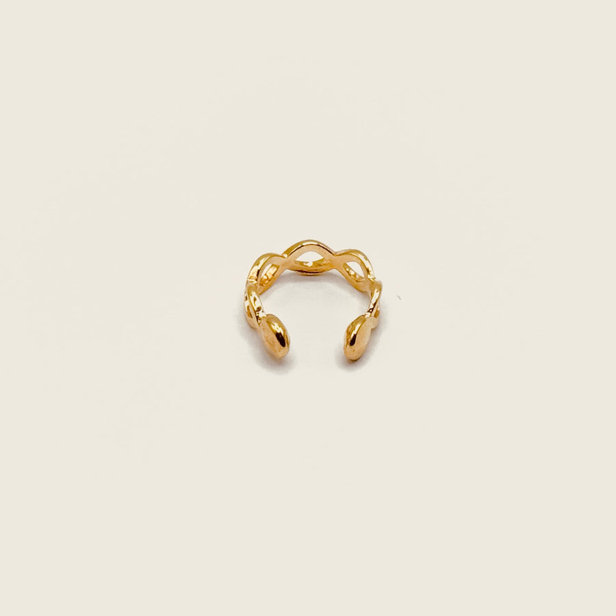 Bague d'oreille