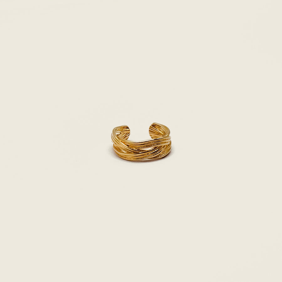 Bague d'oreille