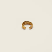 Bague d'oreille