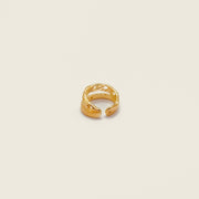 Bague d'oreille