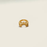 Bague d'oreille