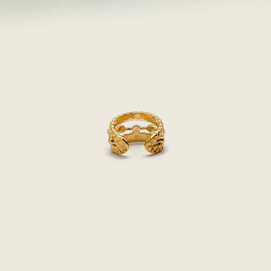 Bague d'oreille