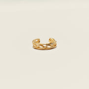 Bague d'oreille