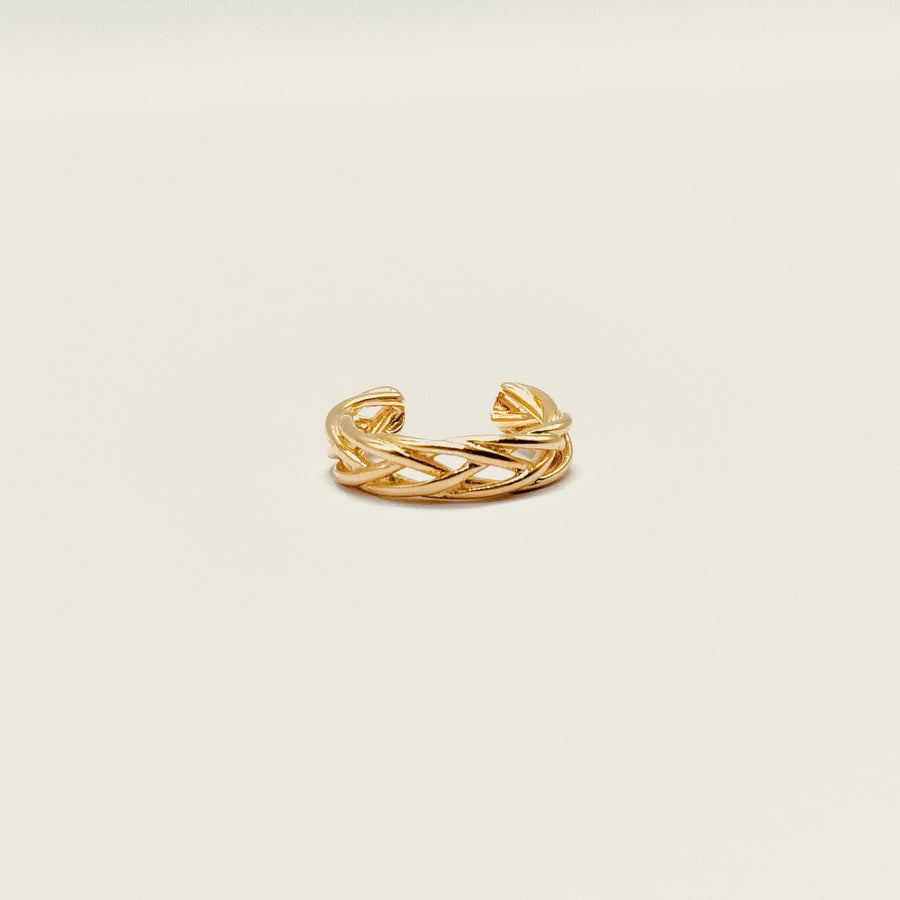 Bague d'oreille