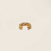 Bague d'oreille